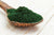 Les dangers de la Spiruline et ses effets secondaires
