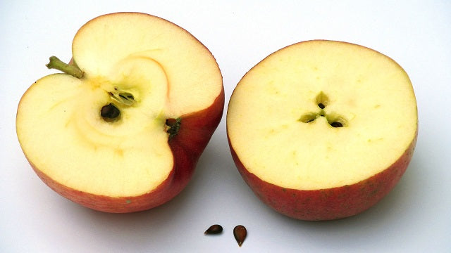 Bienfaits et atouts de la pectine de pomme